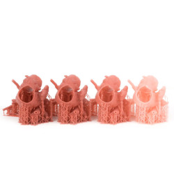 Resina Flex Gingiva Mask - Prusament