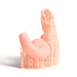 Resina Flex Gingiva Mask - Prusament