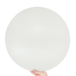 PP Print Plate Kit for WASP...