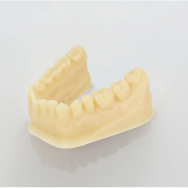 Ultracur3D® DMD 1005