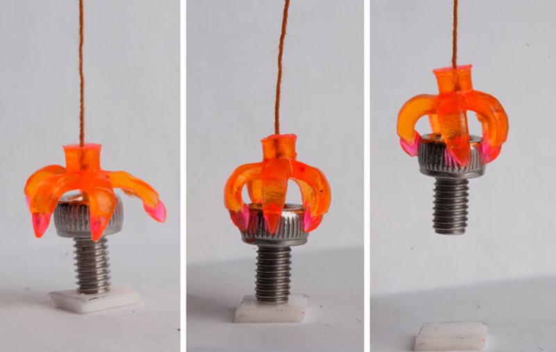 Artiglio stampato in 4D che modifica la sua forma