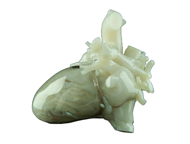 Heart by 3D printing