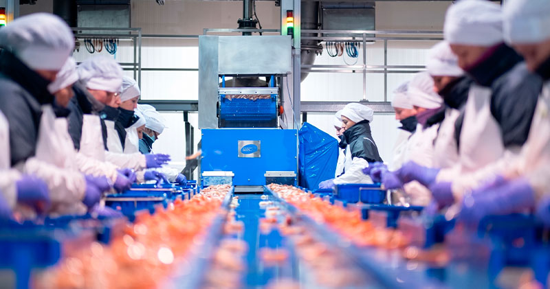 O inFil PETG MDT é um filamento PETG detetável por magnetismo, concebido para a fabricação de peças seguras e resistentes na indústria alimentar através de impressão 3D profissional.