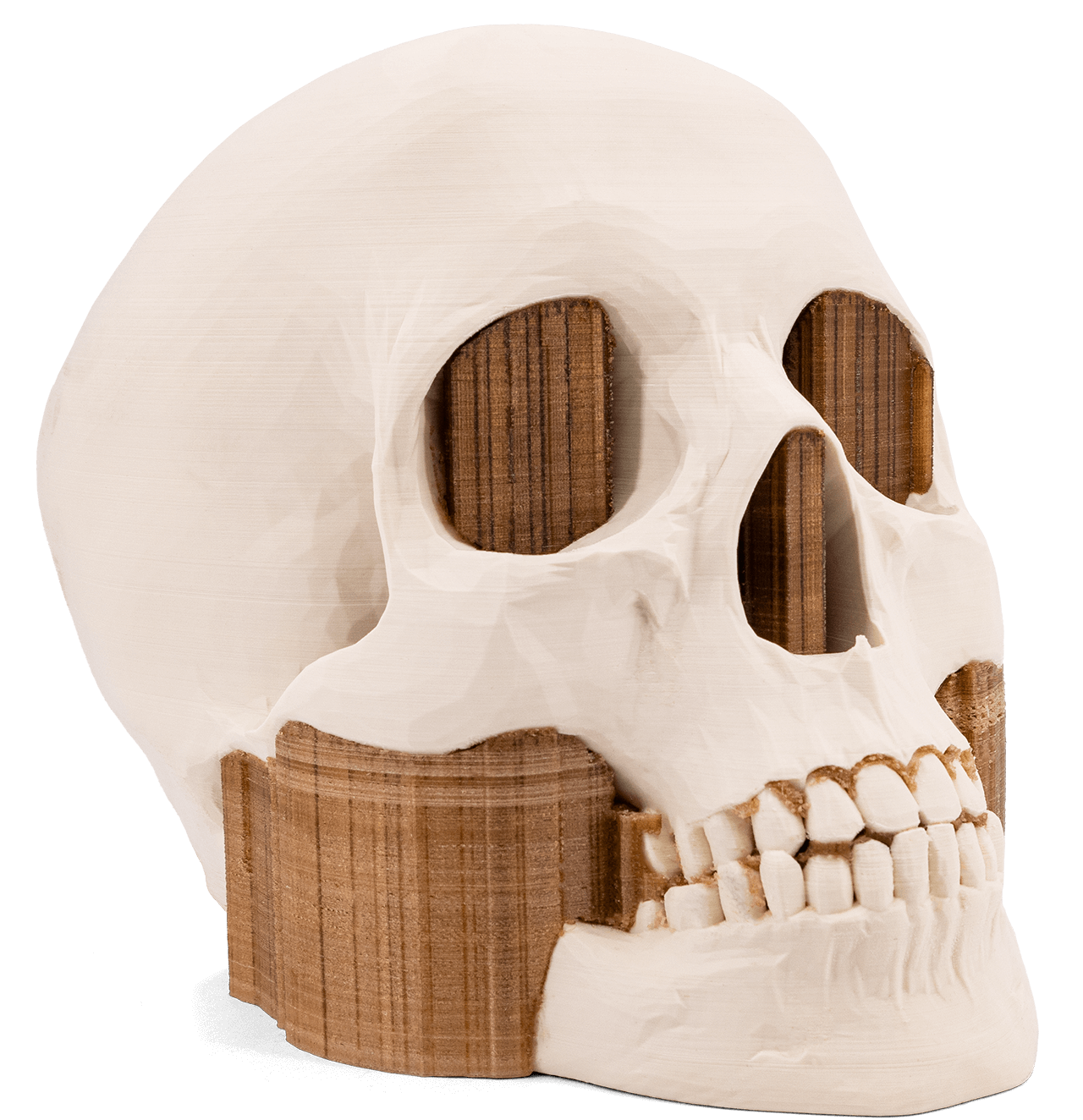 Skull made with Simubone