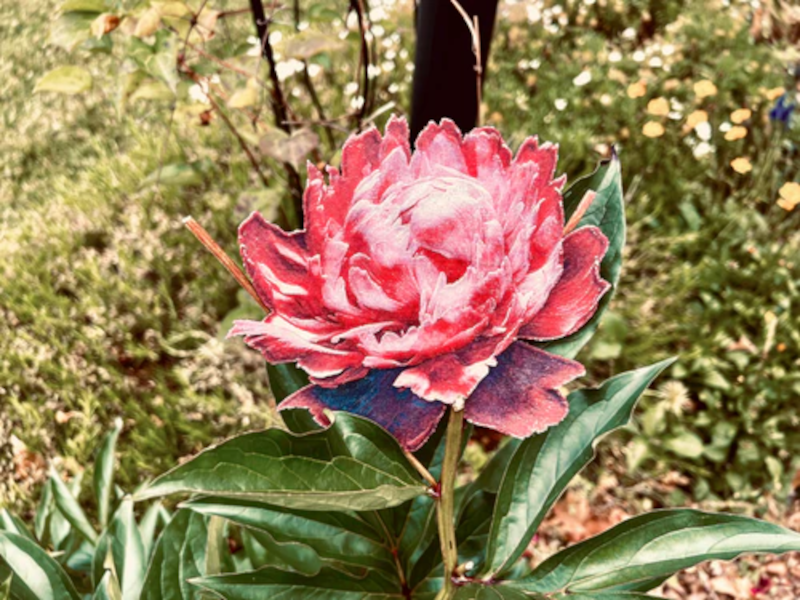 Multicolor image using HueForge software and the Swap by Layer technique