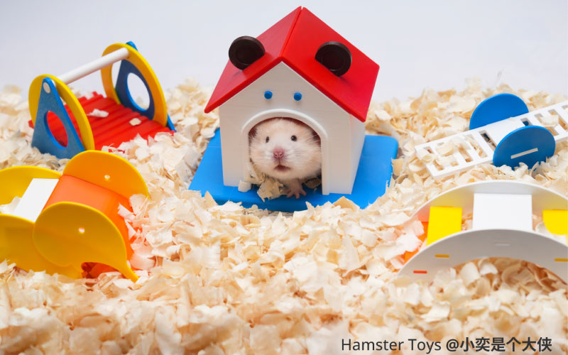 Mit PETG Basic gedrucktes Hamsterspielzeug