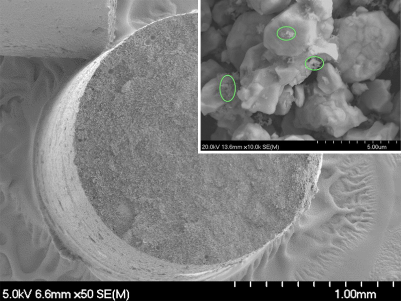 Une section transversale du filament FCer WC-Ni avec des particules de nickel marquées