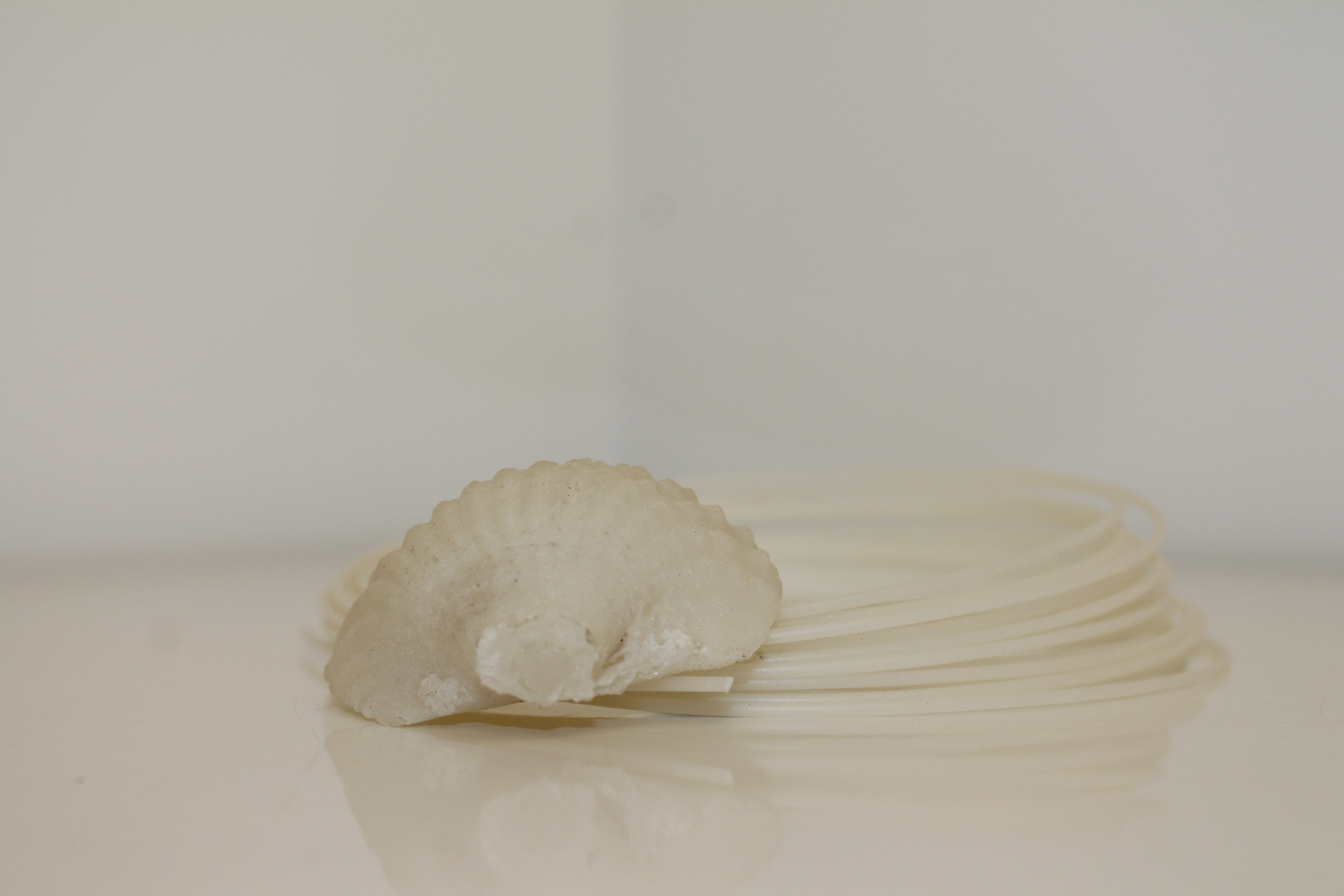 Filament et pièce imprimés avec PLA coquille Saint-Jacques.