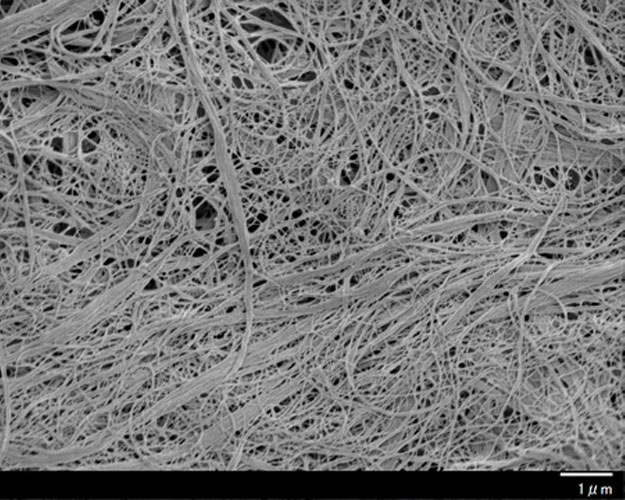 Estructura de nanofibras de celulosa de Asahi Kasei. Fuente: Asahi Kasei
