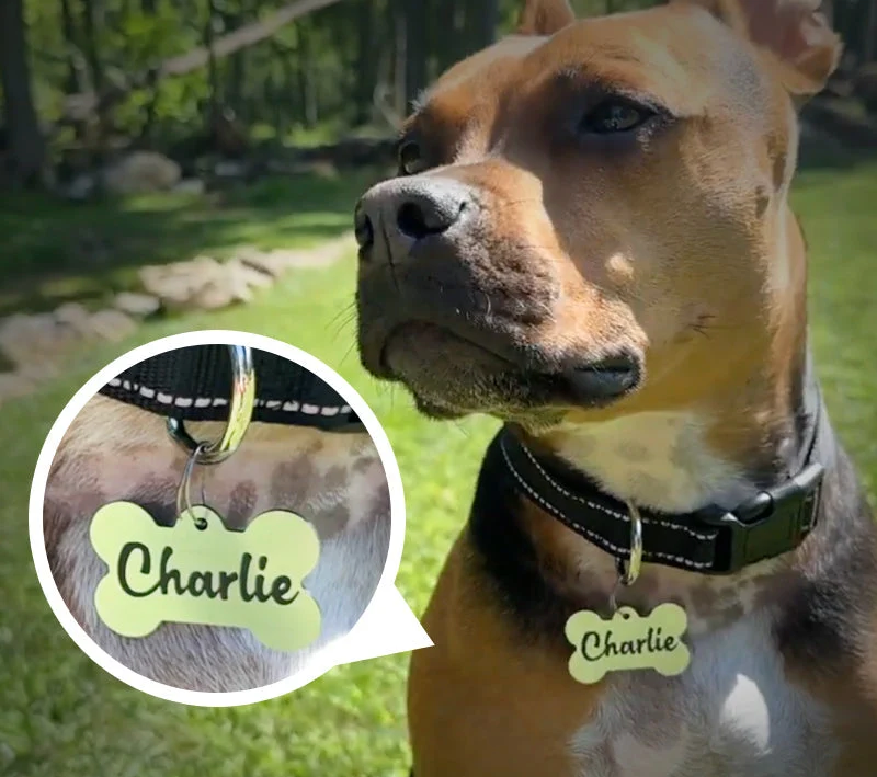 Chapa para animal de estimação criada com o Custom Tag Toolkit e a máquina CNC Carvera.