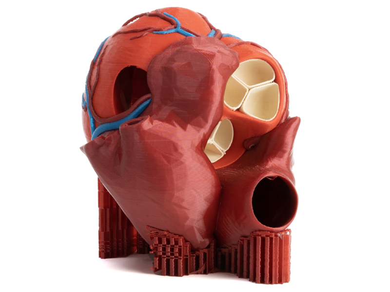 Modelo de corazón impreso en la CORE One con el sistema MMU3