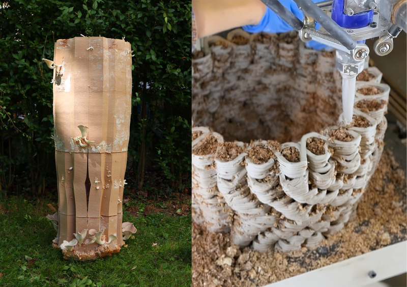 3D-gedruckter Bienenstock aus Ton und Myzel.