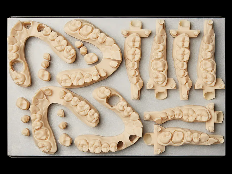 A tray of restorative dental models printed with the Precision Model resin