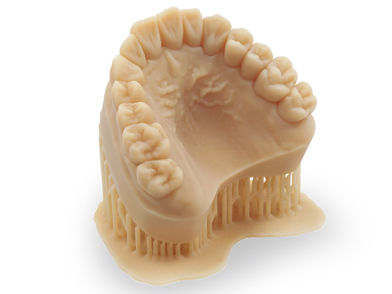 Modelo dental impreso con Dental Model Beige